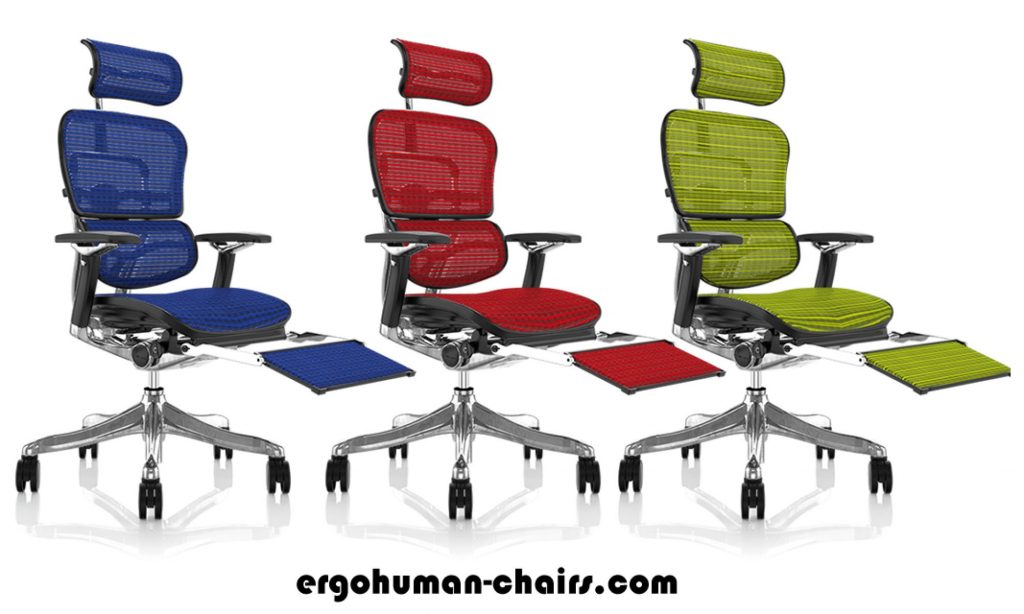 Ergohuman Office Chairs Just another ergohuman chair to go